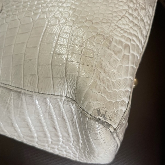 Brahmin - Picture 10 of 11